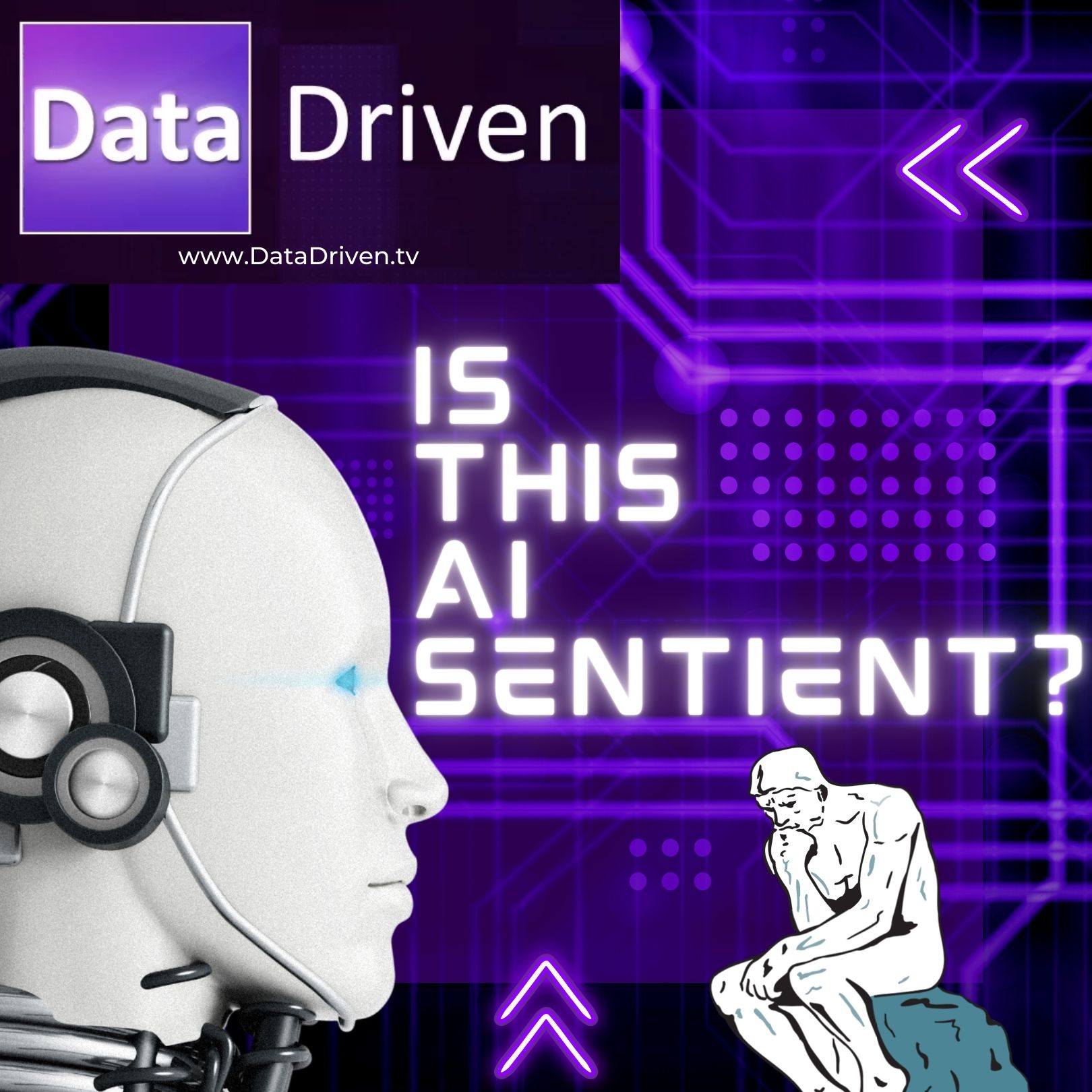 datapoint-did-google-make-a-sentient-ai-datadriven